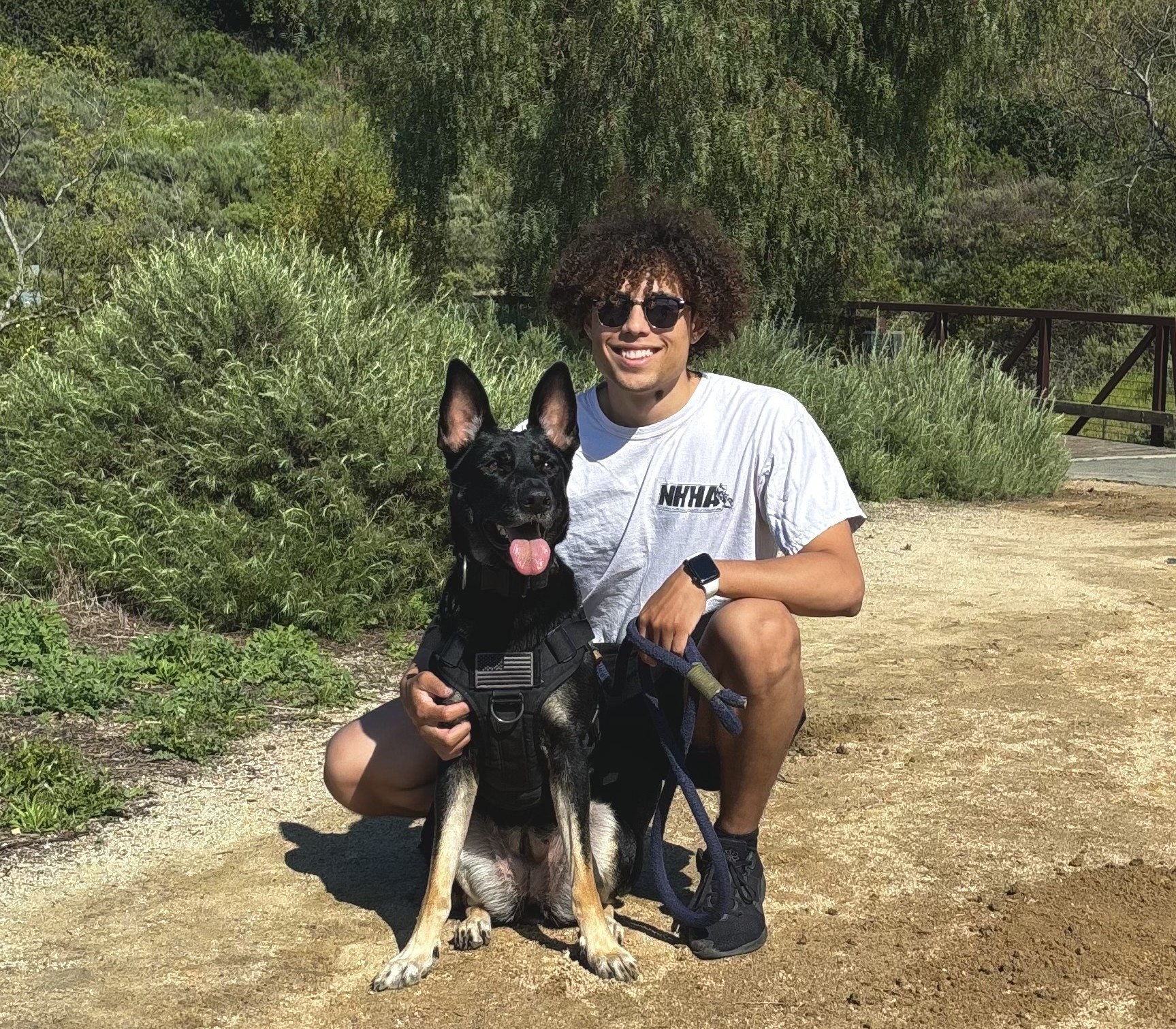 Happy dog